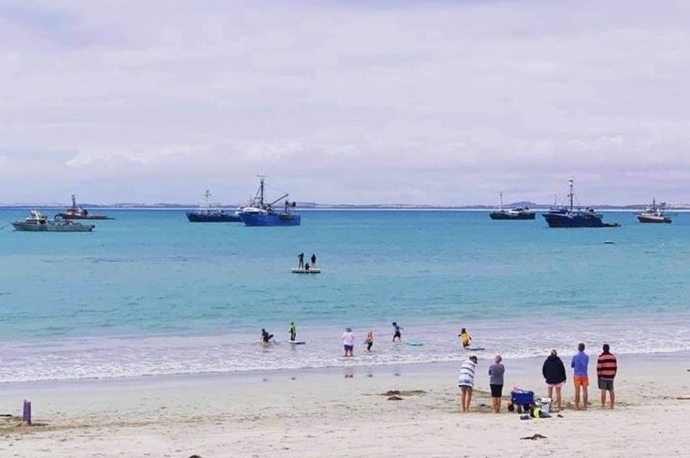 Tuna fishing boats moored off Robe.