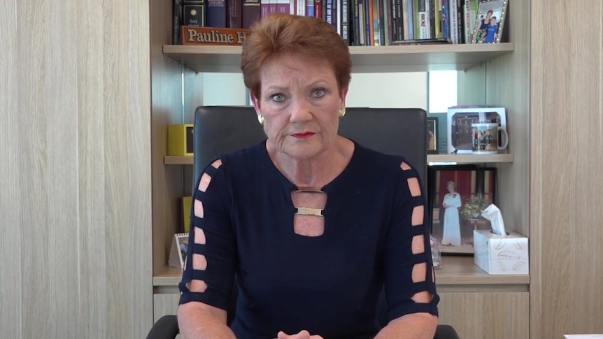 One Nation split as Pauline Hanson condemns 'disgusting' Mark Latham tweet - ABC News