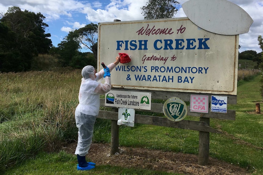 Someone dressed in a hazmat suit takes a photo of a tea cosy in front of the Fish Creek sign