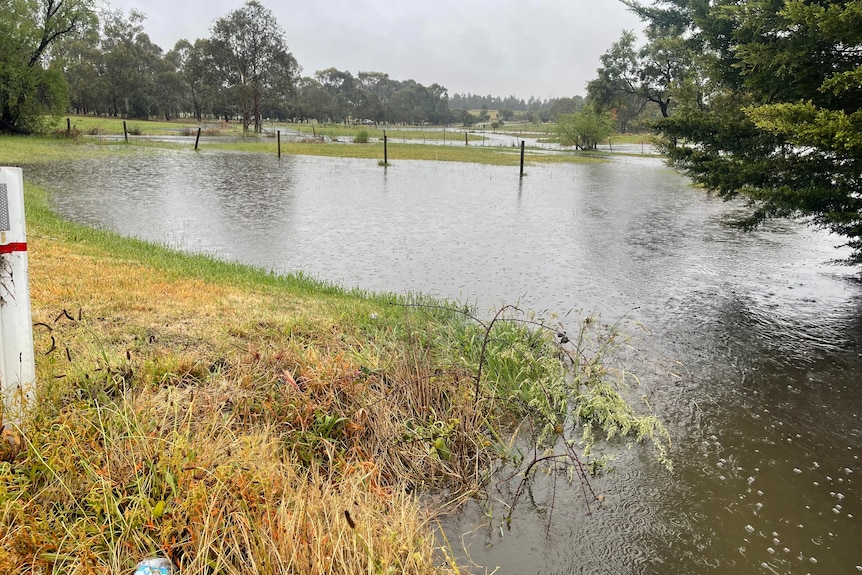 Floodwater covers a paddock.