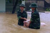 Two soldiers walk a pig through flood water in northern province of Thanh Hoa, Vietnam.