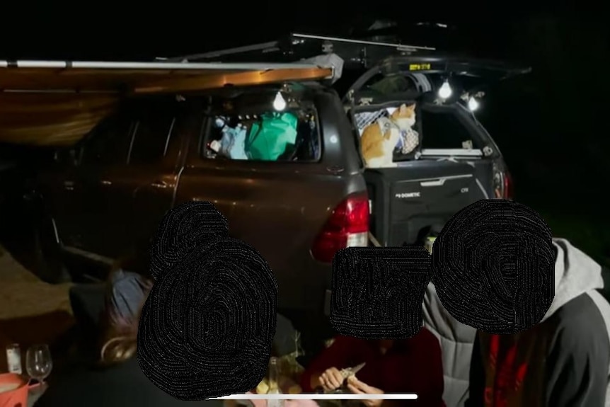 Cat sits in the back of a car at night time, the faces of the people around the car are blurred out