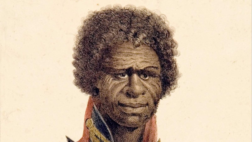 Bungaree pictured in red colonial coat with black and gold details for hand-drawn portrait.
