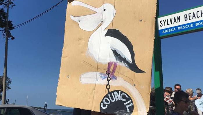 A protest sign with the painting of a pelican iis held up