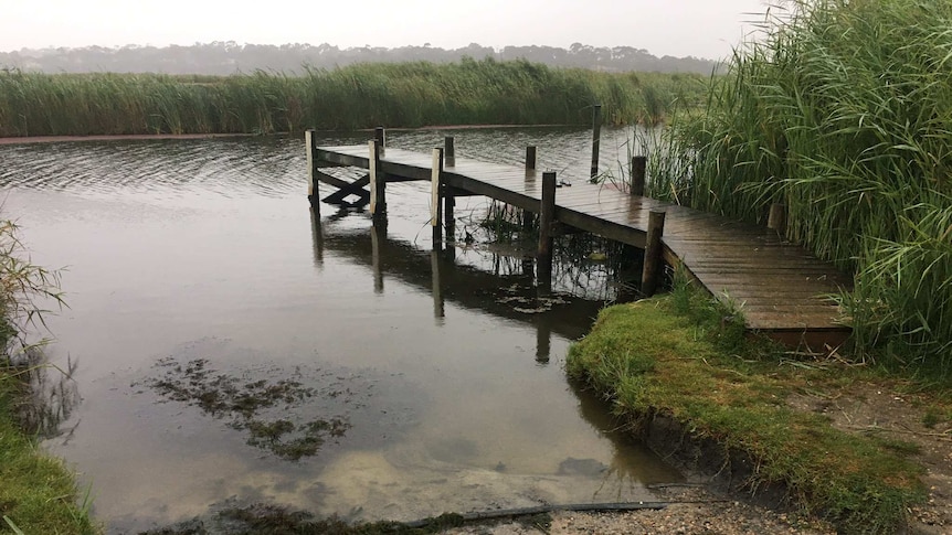 A boat ramp, a dock and a river surrounded by reeds