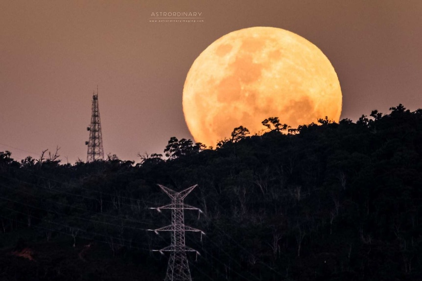 A supermoon rises over hills with power lines in the foreground.