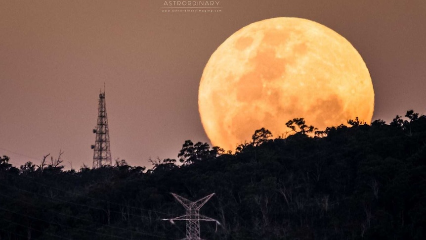 A supermoon rises over hills with power lines in the foreground.