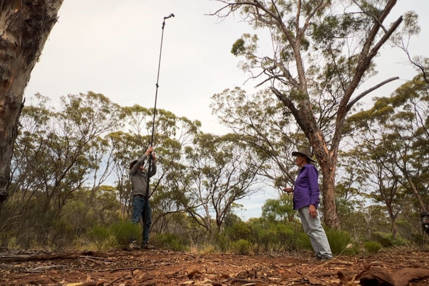 Chris holds a long pole, they both stand near large trees