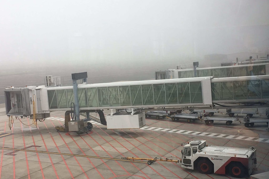 Heavy fog across the runway at the Adelaide Airport