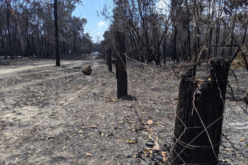 Burnt bush and fence posts at Cooroibah on the Sunshine Coast.