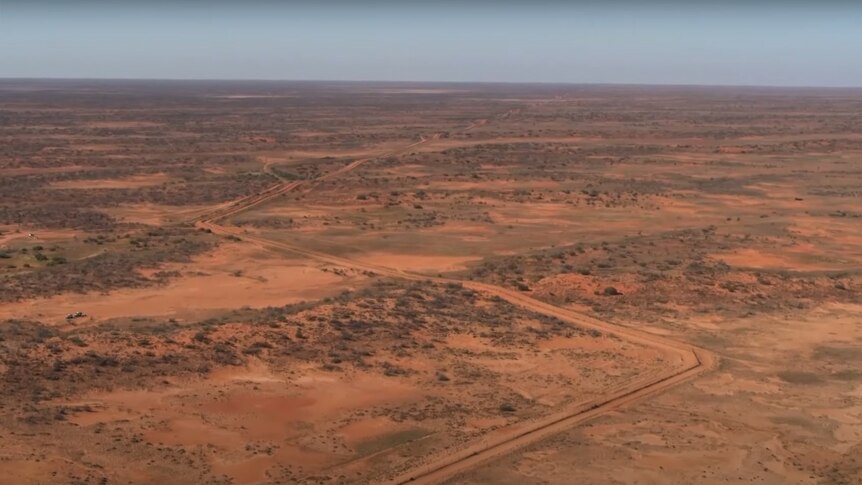 An aerial view of a dingo fence in an outback landscape