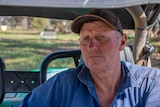 A man in a blue collared shirt and a cap sits in a buggy with grass in the background.