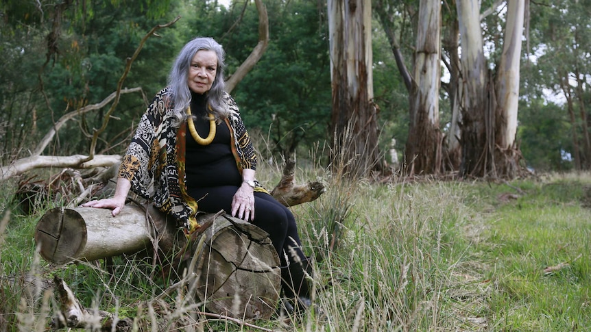 Lois sits on a log in the bush looking at the camera. She is wearing black clothing, a yellow necklace and a patterned blouse.