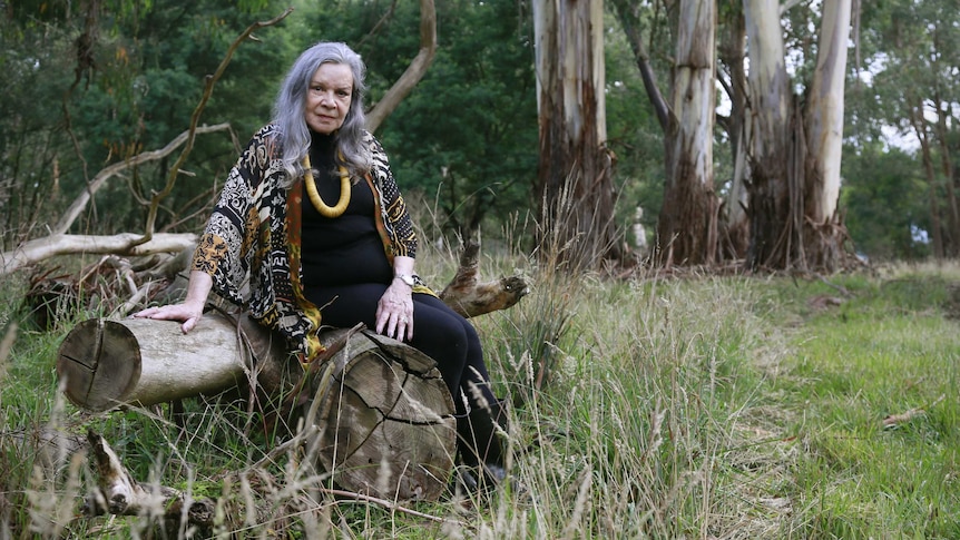 Lois sits on a log in the bush looking at the camera. She is wearing black clothing, a yellow necklace and a patterned blouse.