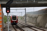Adelaide train on track near a red signal