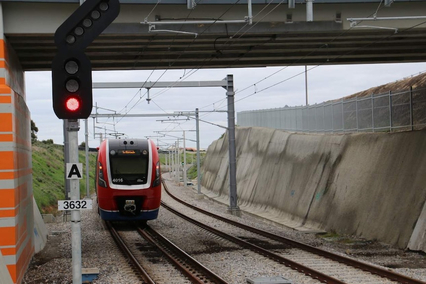 Adelaide train on track near a red signal