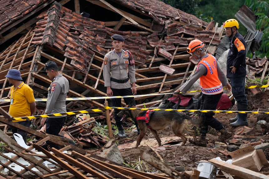 A police officer leads a sniffer dog during the search for victims in a village hit by an earthquake-triggered landslide.