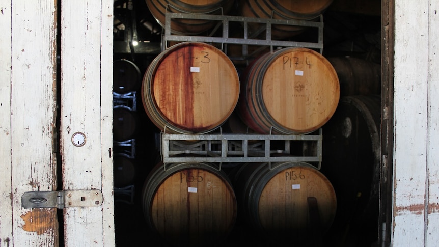 Wine Barrels in warehouse at Victorian Winery