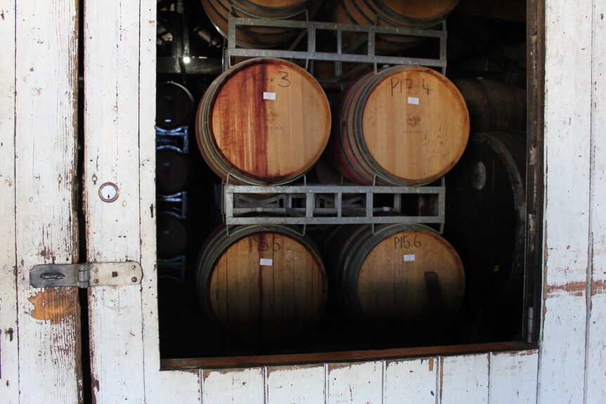 Wine Barrels in warehouse at Victorian Winery