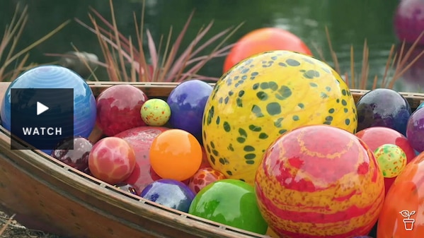 Bright coloured glass balls in a row boat by a lake. Has Video.
