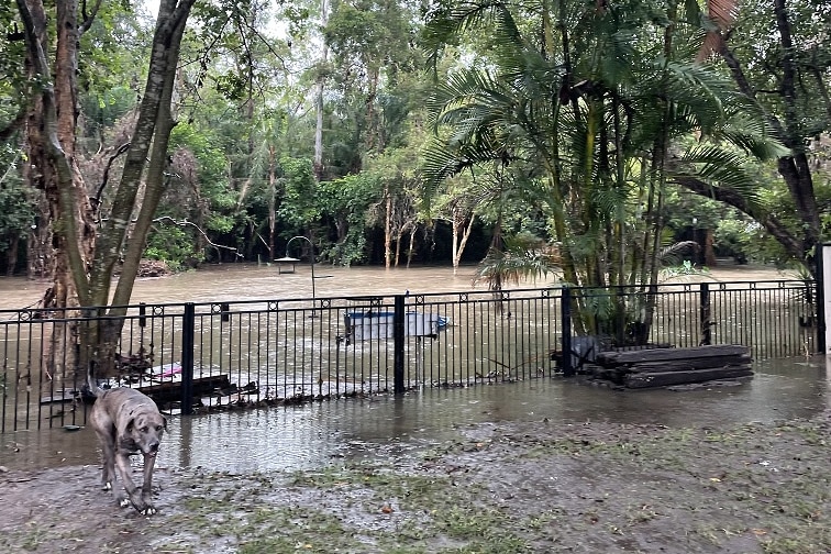 Flash flooding hit parts of Camira, west of Brisbane, on Tuesday.