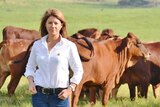 Tracey Hayes, CEO of the NT Cattleman's Association standing in a green paddock with cows in the background.