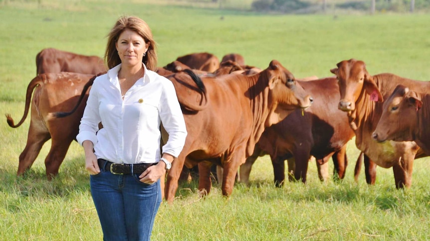 Tracey Hayes, CEO of the NT Cattleman's Association standing in a green paddock with cows in the background.