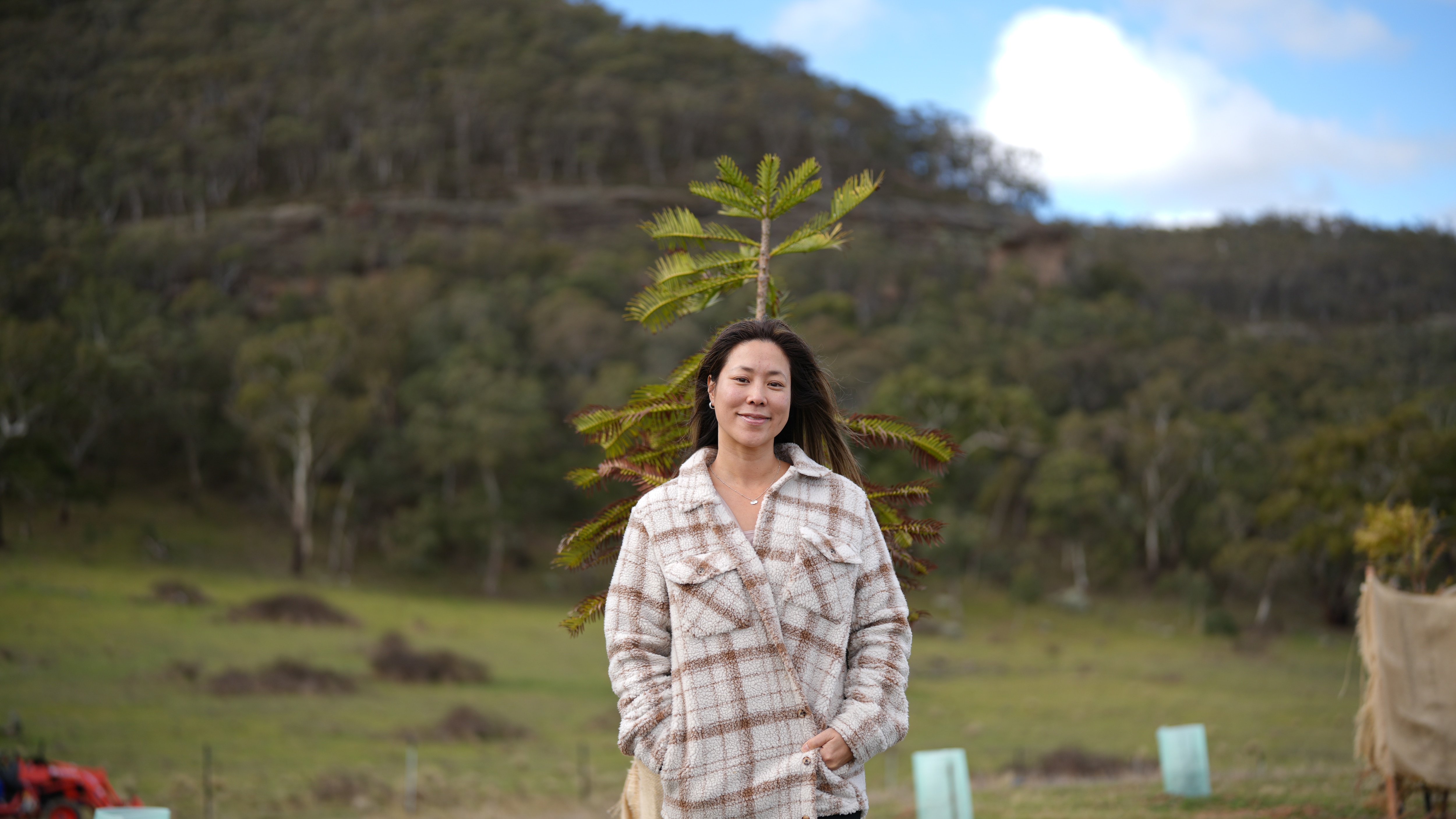 Endangered pine forest grown with people's cremated ashes opens