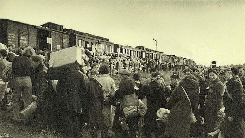 Groups of Jews boarding a train stopped in the middle of the countryside in the Netherlands