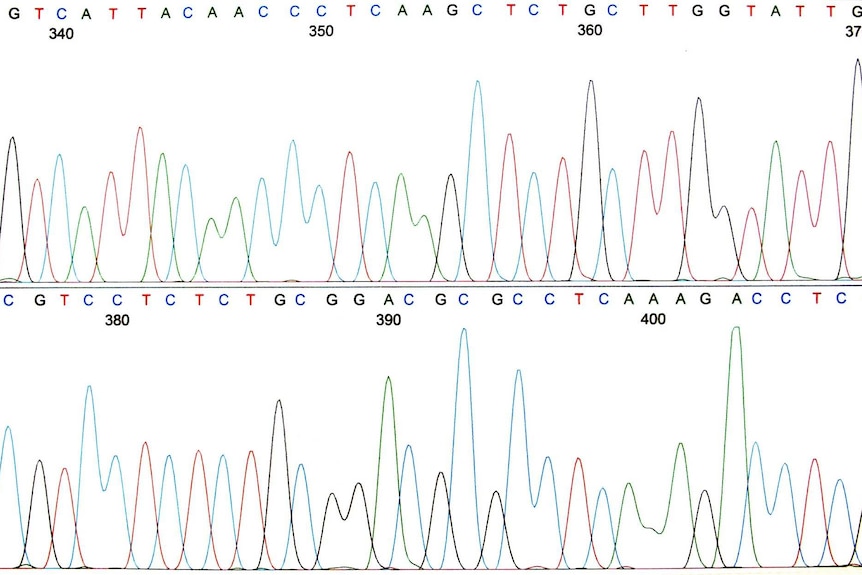 A chart showing red, blue, black and green peaks on a white background