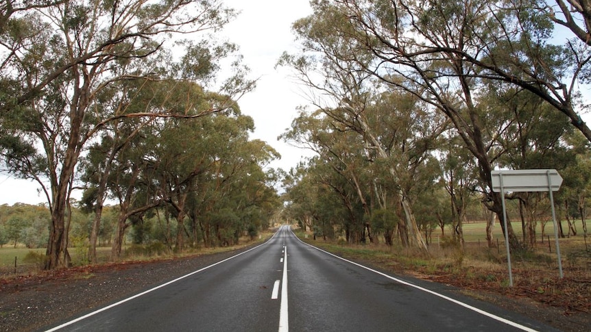A country road through bushland.