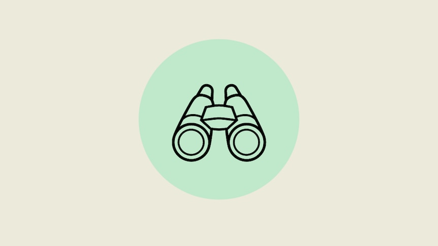 A stylised image of a pair of binoculars
