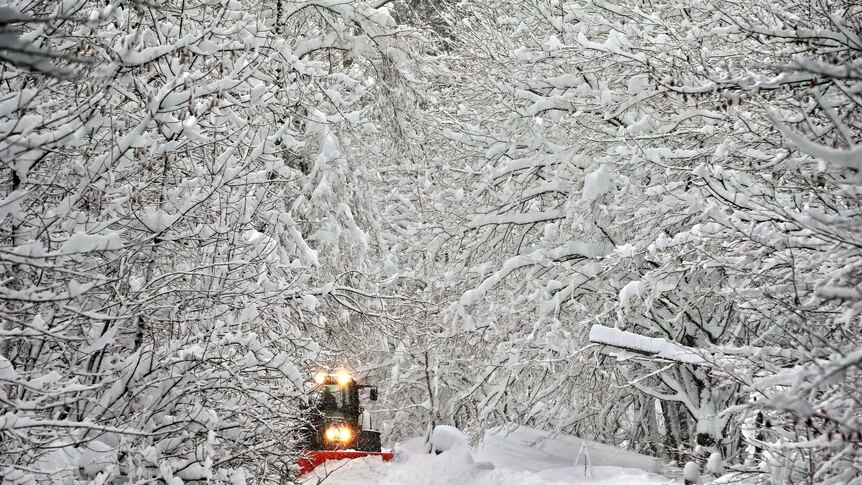 A road in a forest is getting cleaned from snow