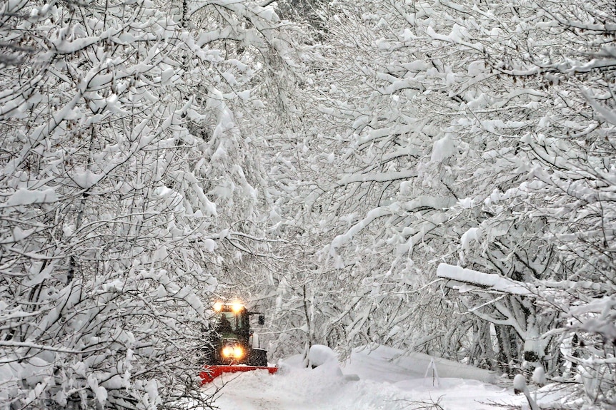 A road in a forest is getting cleaned from snow