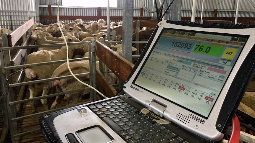 A laptop computer in a shearing shed