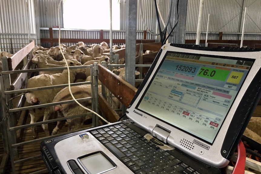 A laptop computer in a shearing shed