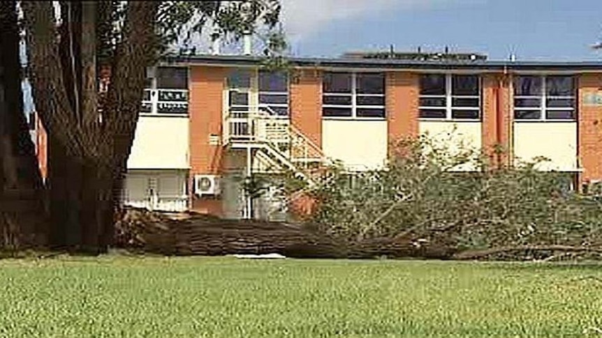 Huge limb fell on sports day at Cedar College, injuring three people