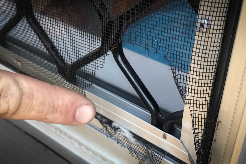 Hole in flyscreen