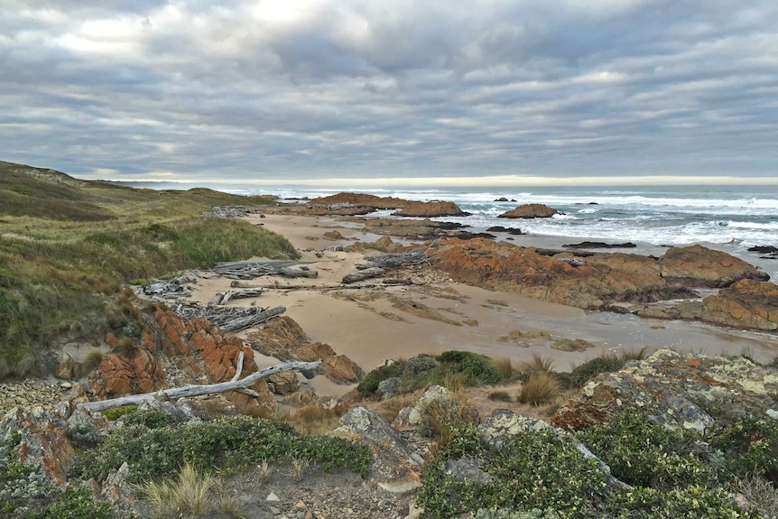 The rugged Tarkine coast