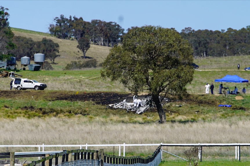 Emergency vehicles hear a burnt-out patch of grass in a field near a large gum tree.