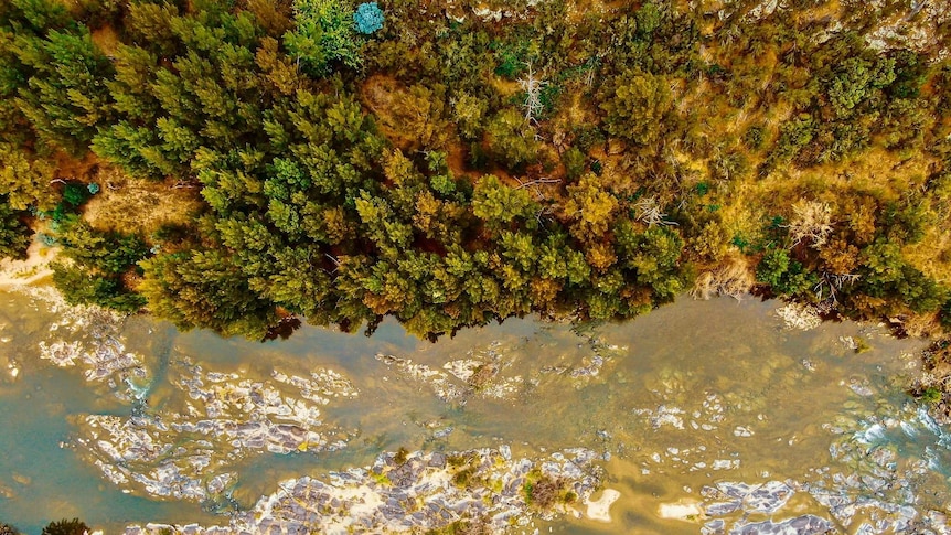 A birds-eye-view of the river and nearby bushland.