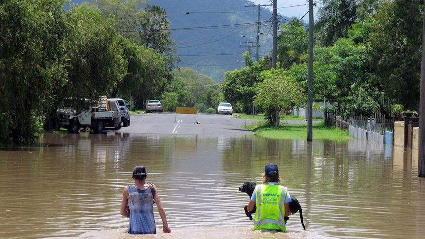 Wendy Hilcher from the RSPCA (right) helps to rescue a dog caught by the rising floodwaters in Rockhampton.