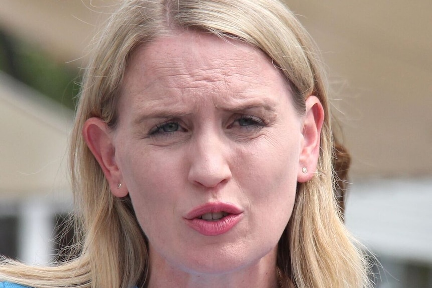Queensland Education Minister Kate Jones says violence against teachers is unacceptable.