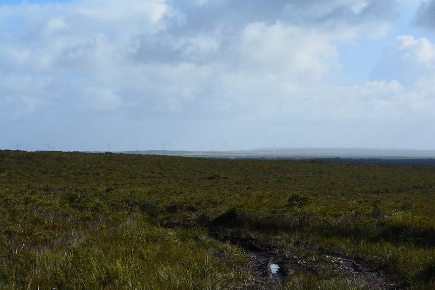 Paddocks in the foreground, looking towards a wind farm