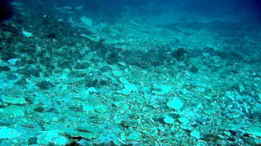 Rubble is strewn across a coral reef at Douglas Shoal