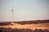 Wide shot of a huge wind turbine in Kalbarri, surrounded by bush scrub and open pasture.