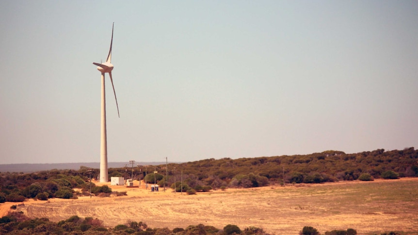 Wide shot of a huge wind turbine in Kalbarri, surrounded by bush scrub and open pasture.