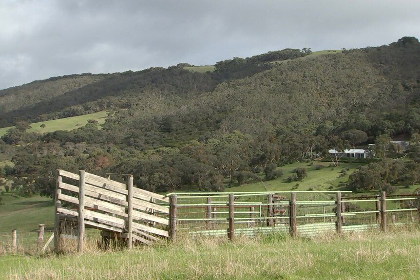 A livestock run with trees and hills behind
