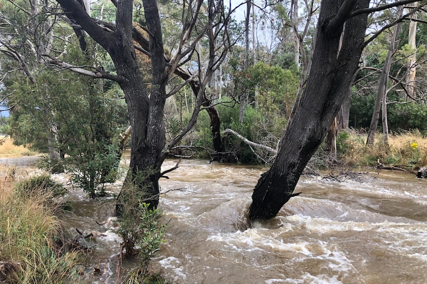 Fast flowing water in northern Tasmania