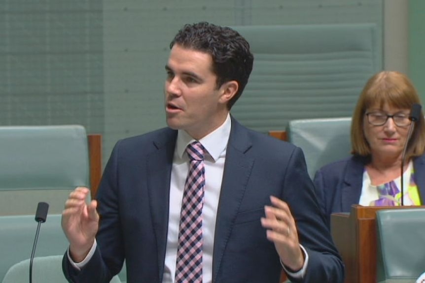 Tim Watts speaking in parliament.